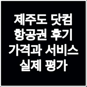 제주도 닷컴 항공권 후기 가격과 서비스 실제 평가