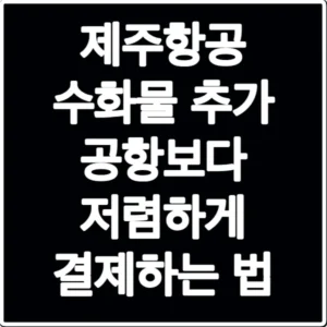 제주항공 수화물 추가 공항보다 저렴하게 결제하는 법