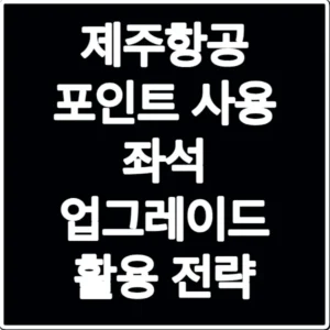 제주항공 포인트 사용 좌석 업그레이드 활용 전략