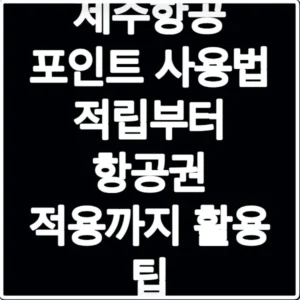 제주항공 포인트 사용법 적립부터 항공권 적용까지 활용 팁