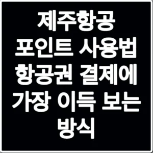 제주항공 포인트 사용법 항공권 결제에 가장 이득 보는 방식