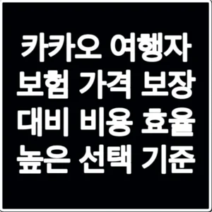 카카오 여행자 보험 가격 보장 대비 비용 효율 높은 선택 기준