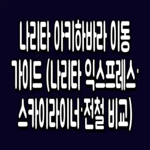 나리타 아키하바라 이동 가이드 (나리타 익스프레스·스카이라이너·전철 비교)