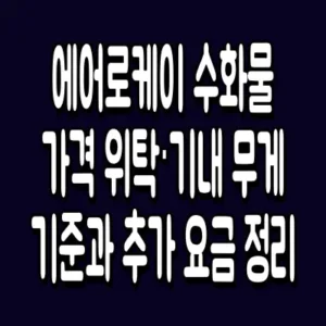 에어로케이 수화물 가격 위탁·기내 무게 기준과 추가 요금 정리