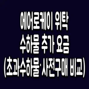 에어로케이 위탁수하물 추가 요금 (초과수하물·사전구매 비교)